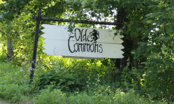 Wedding venue booking in Massachusetts with tavern, cabins, and forest views at Ye Olde Commons